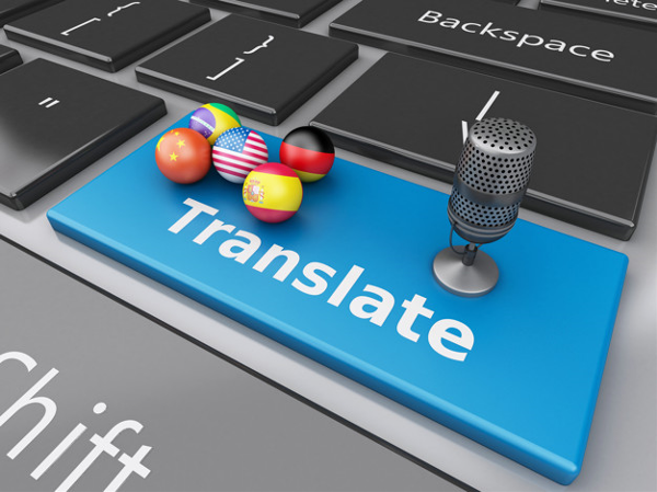 Web Sitesi Tercümesi